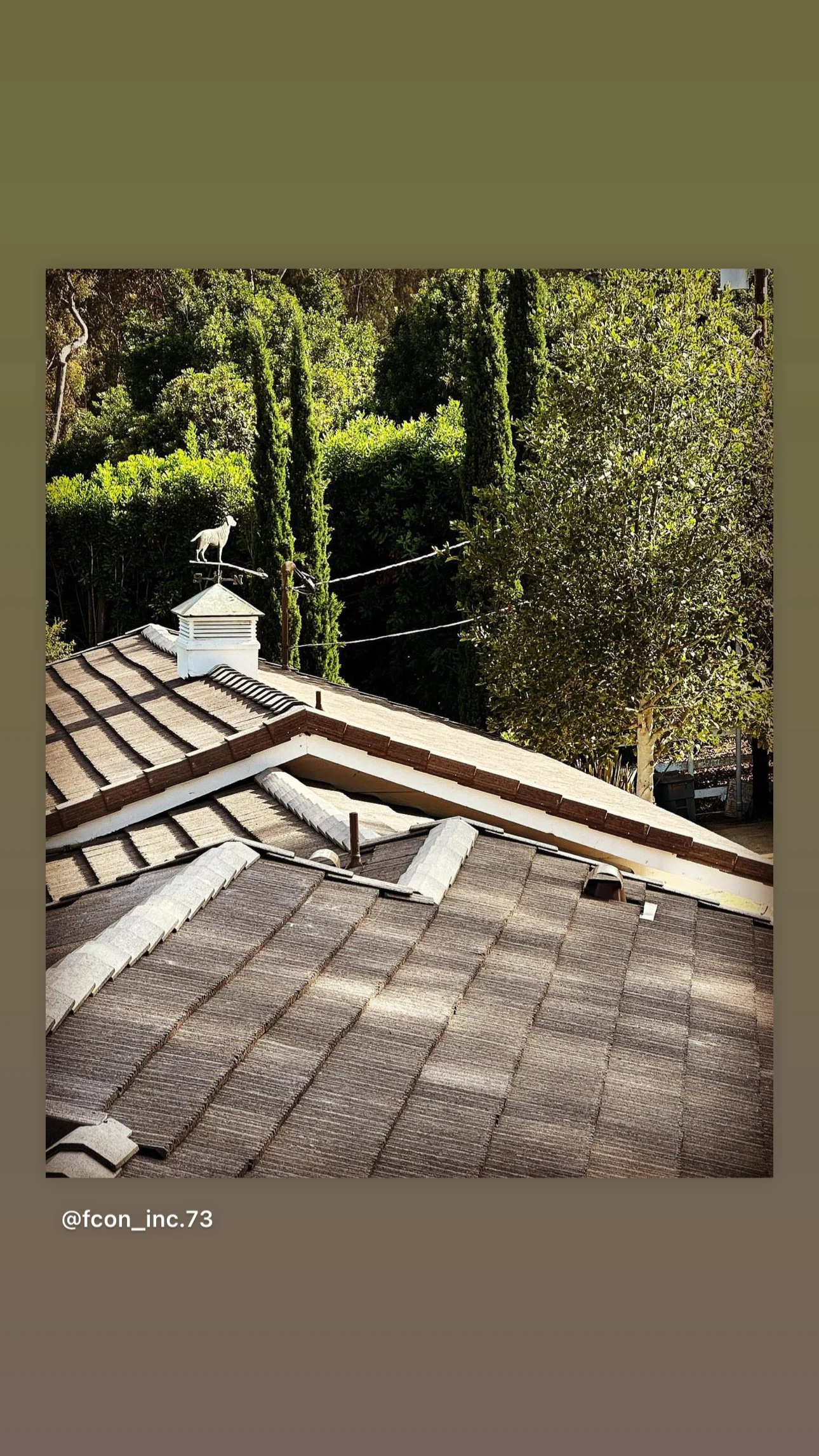 Newly installed residential roof with gray shingles, white cupola, and cypress tree backdrop