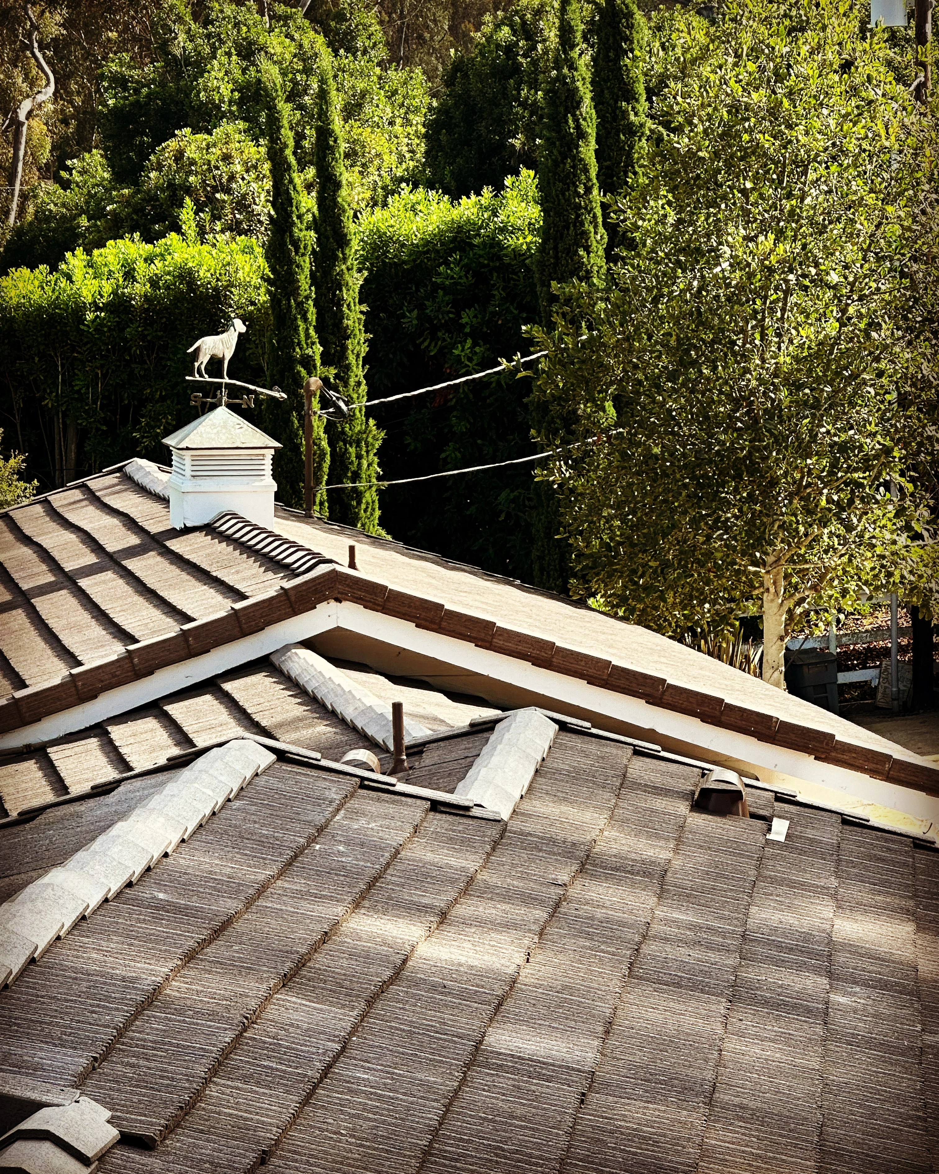 Newly installed residential roof with dimensional shingles and white cupola with weathervane