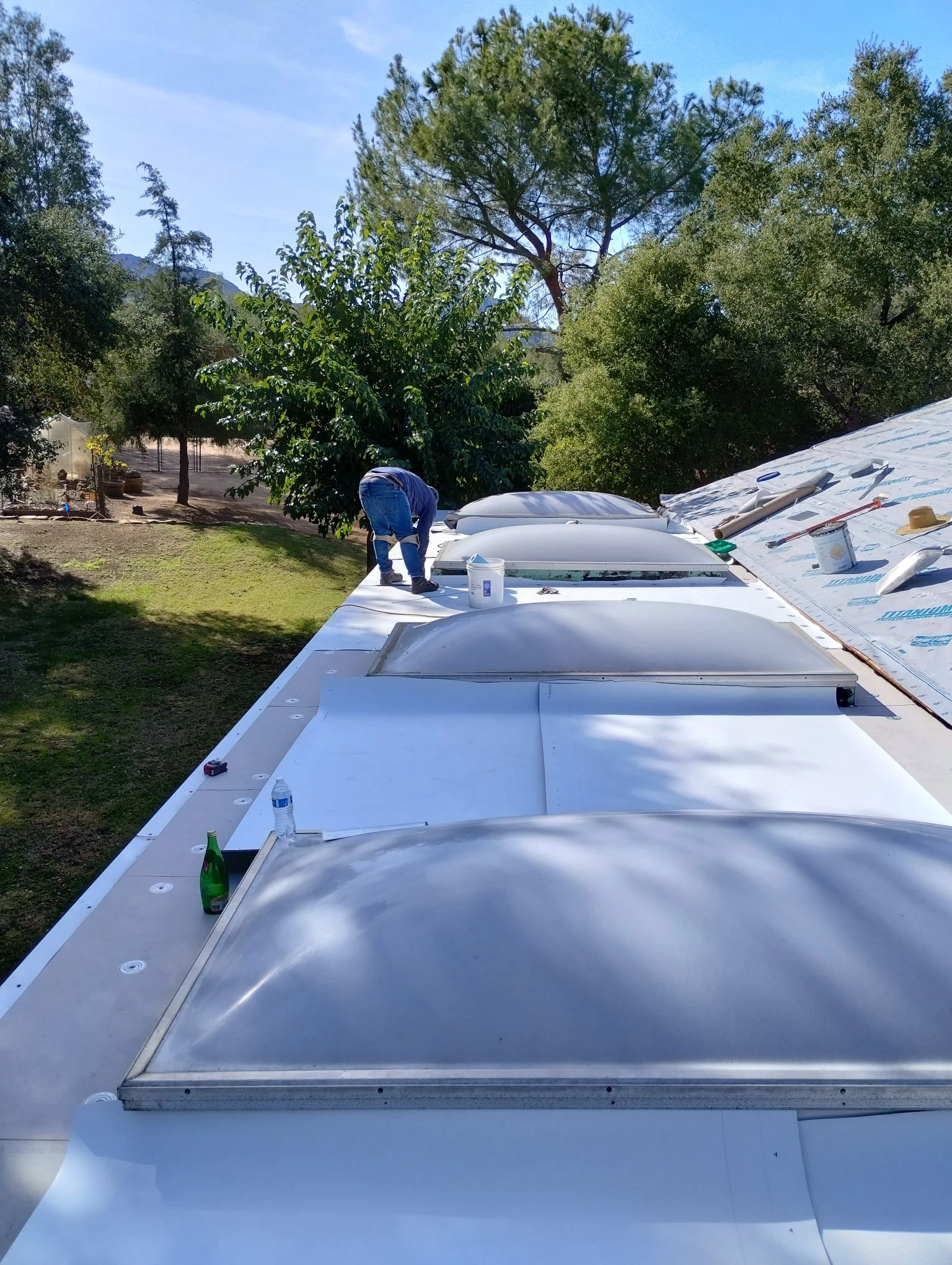 Flat roof installation with multiple skylights and white membrane roofing material