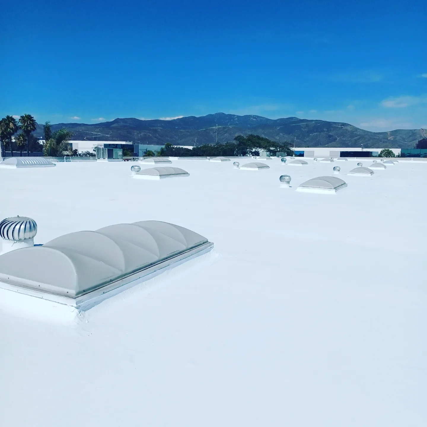 White commercial flat roof with dome skylights and ventilation units overlooking mountains